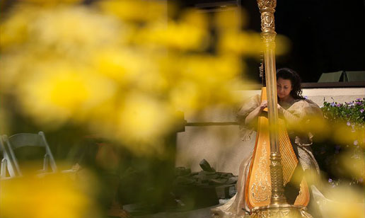 Harp Angel 1