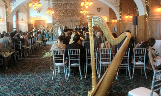 Harp Angel 5